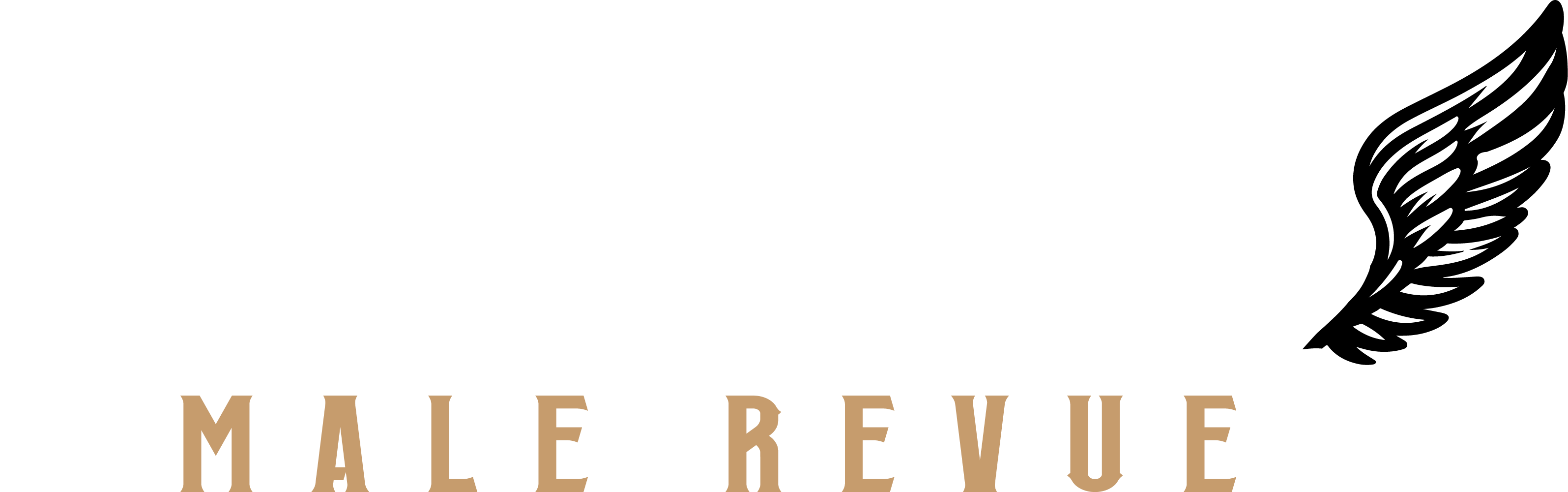 Men of Eros Male Revue